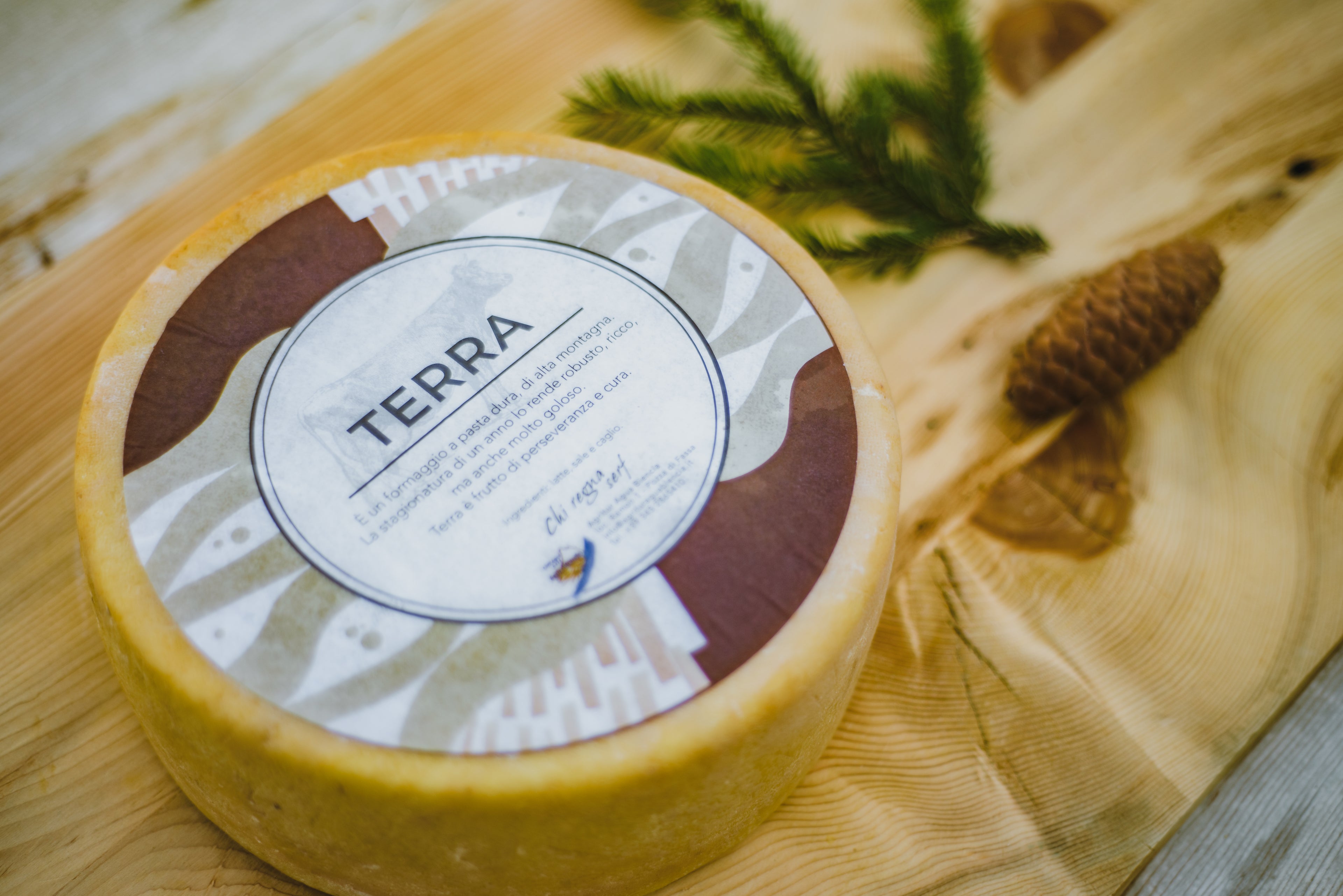Formaggio Terra - 300gr